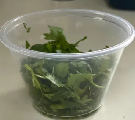 Free cilantro